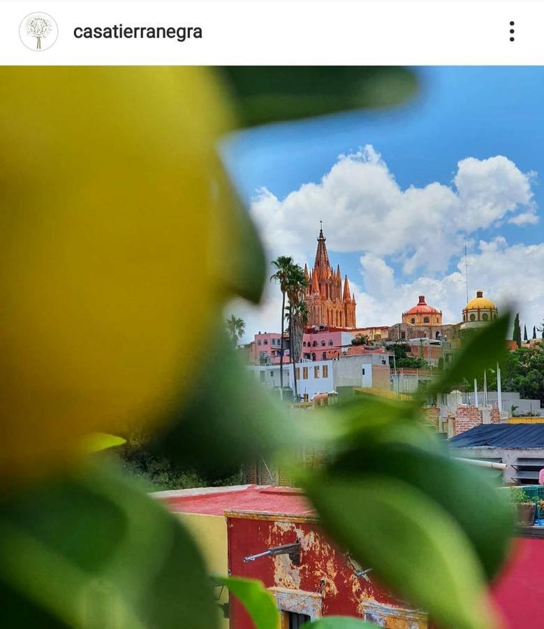 Casa Tierra Negra Hotel 4*
