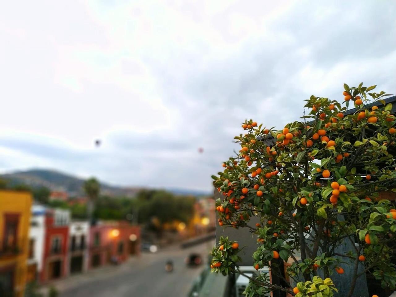 Hotel Casa Tierra Negra San Miguel de Allende
